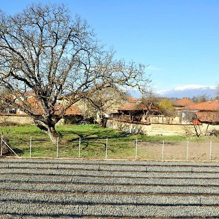 Vila V S. Gabarevo, Dolinata Na Rozite. Villa Luaran gambar