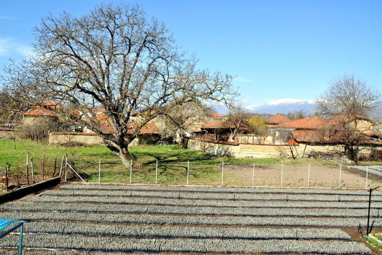 Vila V S. Gabarevo, Dolinata Na Rozite. Villa Luaran gambar